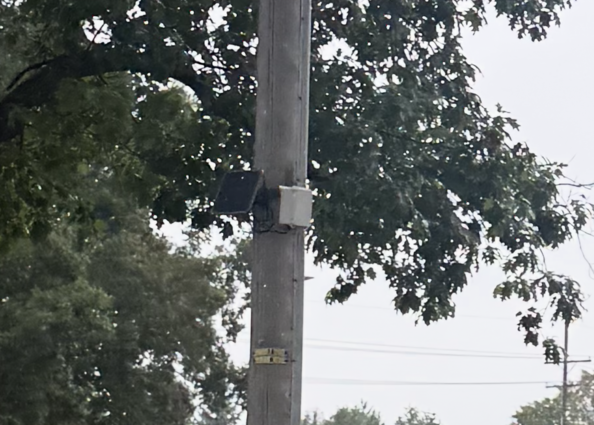 RogueTwo - A RAK4631 with a 12v/5v converter (see the amazon list) and a 12v solar panel and battery pack from a trail cam. Optimistically placed on one of the highest places in the county, it occasionally chirps up into the mesh but it's not always successful.